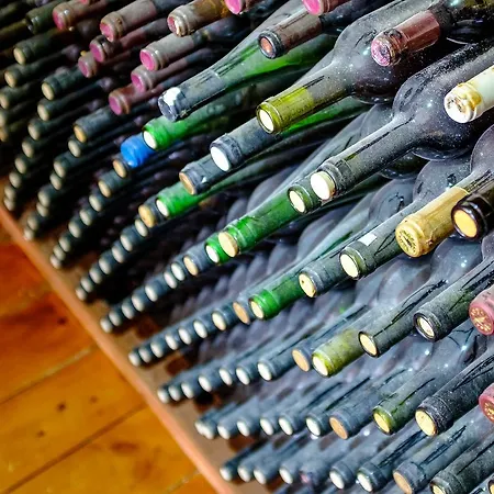 빌라 Thea 페이야